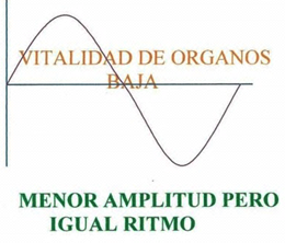 Onda Craneosacral