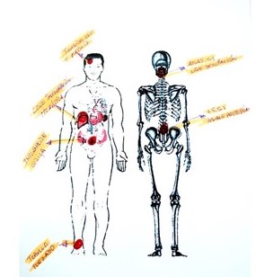 Exploración del Cuerpo